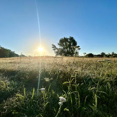 Διαμέρισμα Deluxe Mit Balkon Und Fruehstueck Im Reindahls
