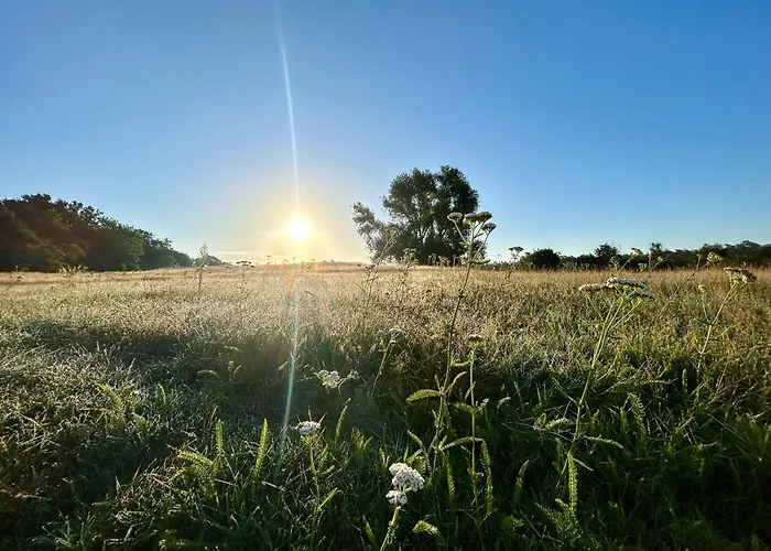 Lejlighed Deluxe Mit Balkon Und Fruehstueck Im Reindahls